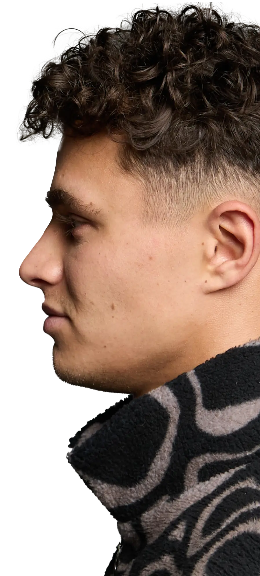 Lando Norris portrait